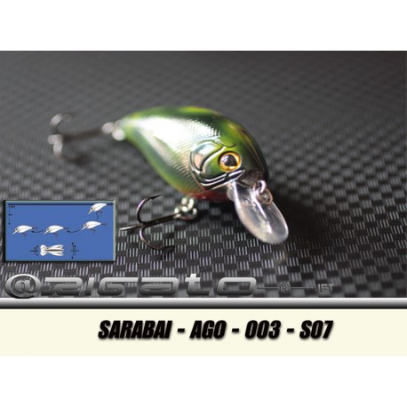 SARABAI-AGO-003 