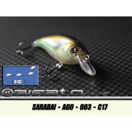 SARABAI-AGO-003 C17